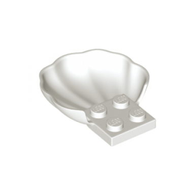 white clam scallop shell with 4 studs