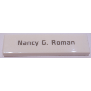 white tile 1 x 4 with black nancy g roman pattern