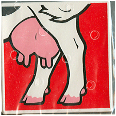 white duplo tile 2 x 2 x 1 with cow mosaic picture 18 pattern