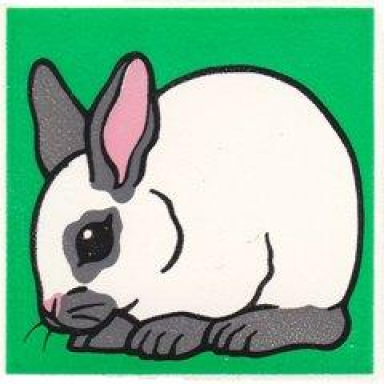 white duplo tile 2 x 2 x 1 with rabbit mosaic picture 09 pattern