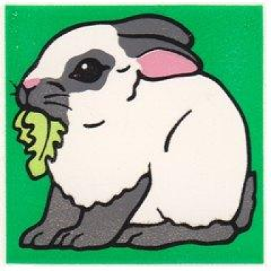 white duplo tile 2 x 2 x 1 with rabbit mosaic picture 11 pattern