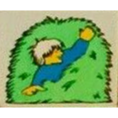 white duplo tile 2 x 2 x 1 with farming mosaic picture 09 pattern