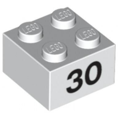 white brick 2 x 2 with black number 30 pattern