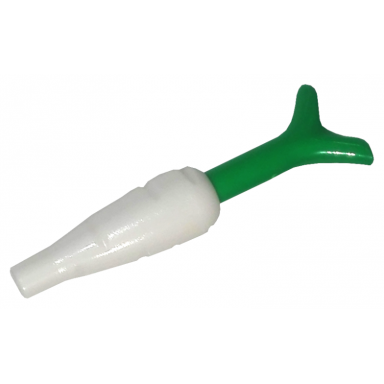 white carrot with bright green top 33172 33183