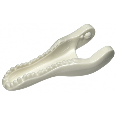 white dinosaur jaw lower baryonyx