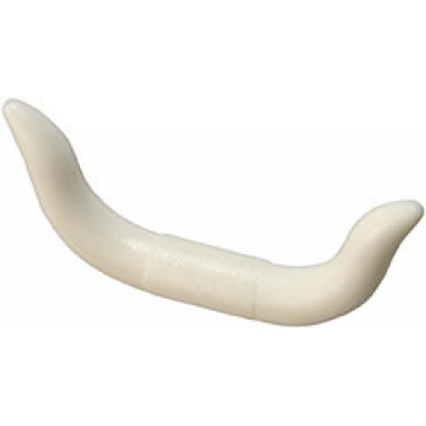 white cattle horns