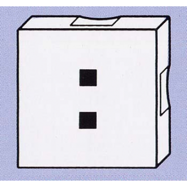 white duplo tile 2 x 2 with black colon : pattern