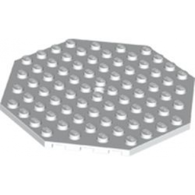 white plate modified 10 x 10 octagonal with hole