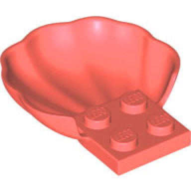 coral clam scallop shell with 4 studs