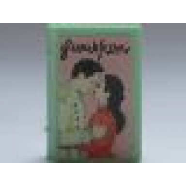 light green minifigure utensil book 2 x 3 with man and woman kissing pattern sticker - sets 3108 3290