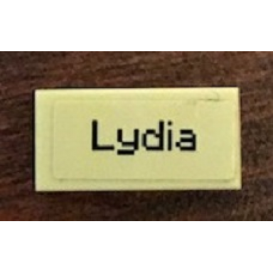 tan tile 1 x 2 with lydia pattern sticker - set 21144