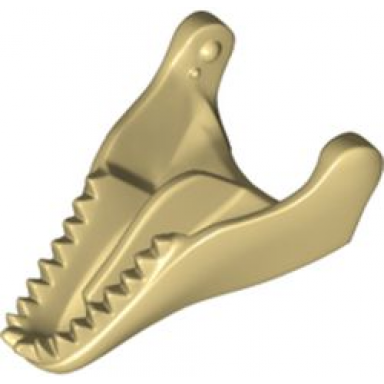 tan dinosaur jaw lower tyrannosaurus rex