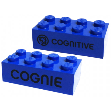 blue brick 2 x 4 with black cognitive and cognie pattern on opposite sides play day 2019