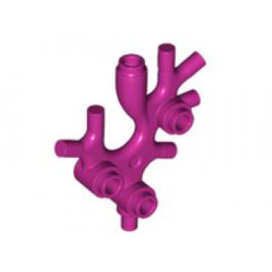 magenta plant thallus seaweed coral