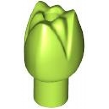 lime plant flower tulip with bar and small pin hole