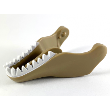 dark tan dinosaur jaw lower tyrannosaurus rex with white teeth pattern