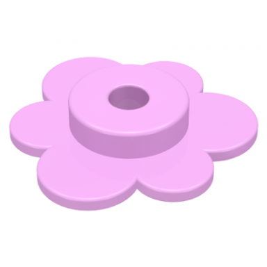 bright pink plant flower small