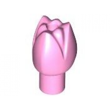 bright pink plant flower tulip with bar and small pin hole