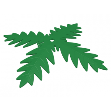 green plant tree palm leaf 4