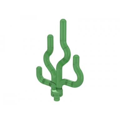 trans-green plant sea grass seaweed