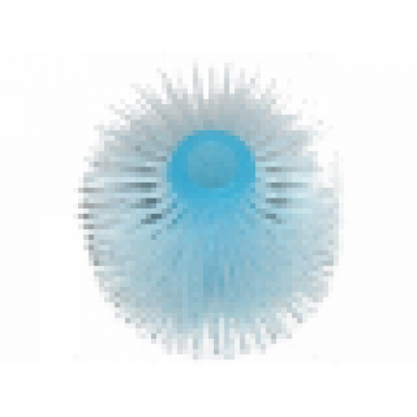 trans-light blue vehicle brush