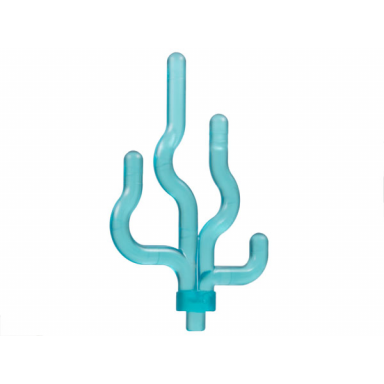 trans-light blue plant sea grass seaweed
