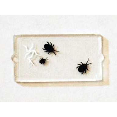 trans-clear glass for window 1 x 2 x 3 with 3 black insects and cracked window pattern sticker - set 75904