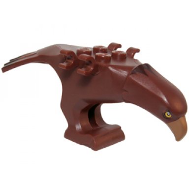 eagle body with beak eyes and dark brown head and tail feathers pattern