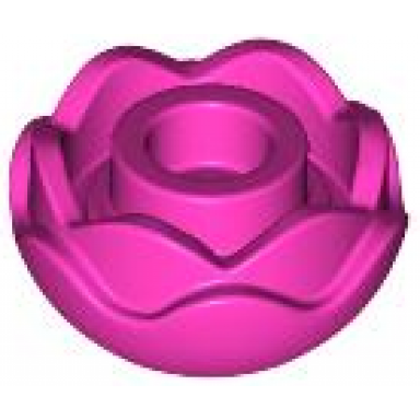 dark pink plant flower round with 2 layers peony rose with open stud and small pin hole