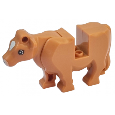 medium nougat cow body with light nougat muzzle and white spot on head pattern