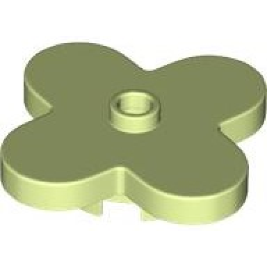 yellowish green plant flower 4 x 4 rounded petals