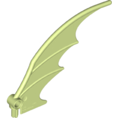 yellowish green dragon wing 8 x 10