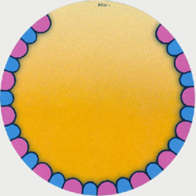 paper cardboard base for set 3087 circus arena