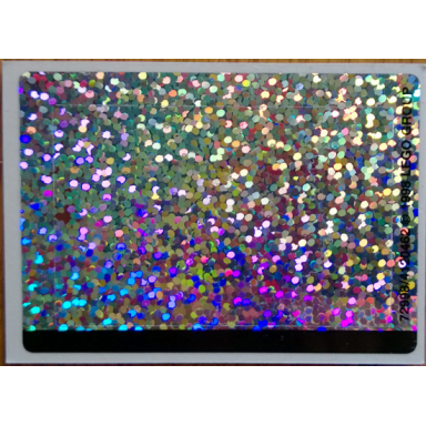 sticker sheet for set 3116 sheet 2 holographic mirrored - 72998 4120462