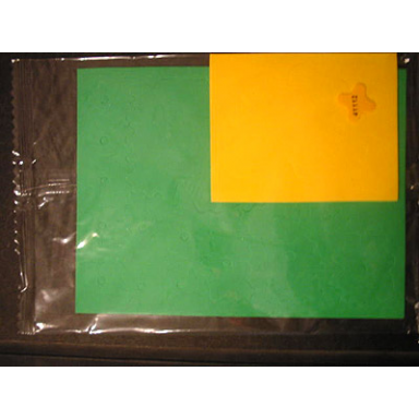 foam for set 3124 - complete set of 2 sheets unpunched