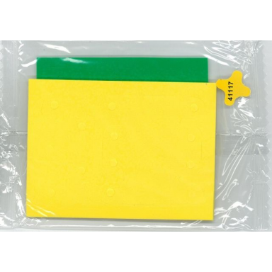 foam for set 3123 - complete set of 2 sheets unpunched