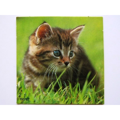 paper cardboard for set 4336 1 scala cat 191767