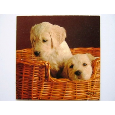 paper cardboard for set 4336 3 scala puppy dogs 191764