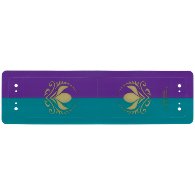 plastic canopy with purple and dark turquoise stripes and arendelle crest flowers pattern