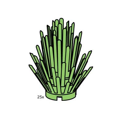 bush