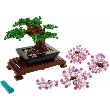 bonsai tree