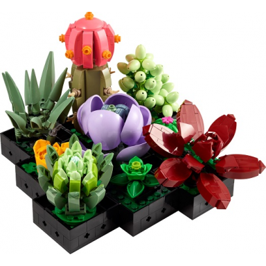 succulents