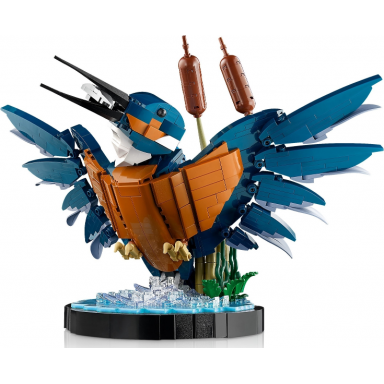 kingfisher bird