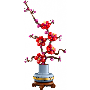 plum blossom