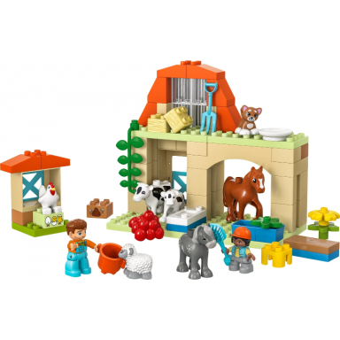 caring for animals at the farm