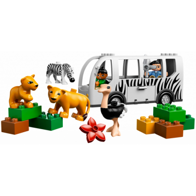 zoo bus