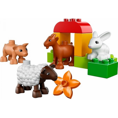 farm animals
