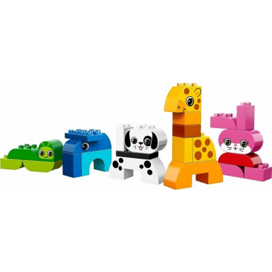 creative animals