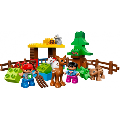 forest: animals