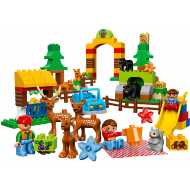 forest: park